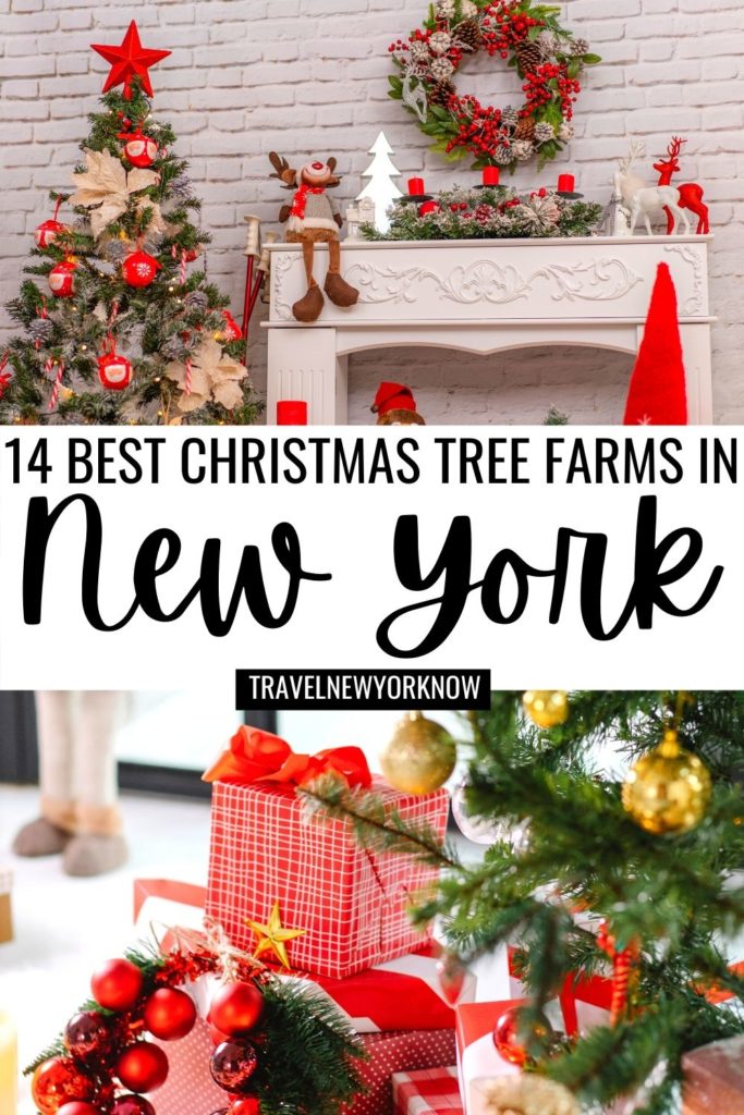 16 Best Christmas Tree Farms in New York State A Local Guide