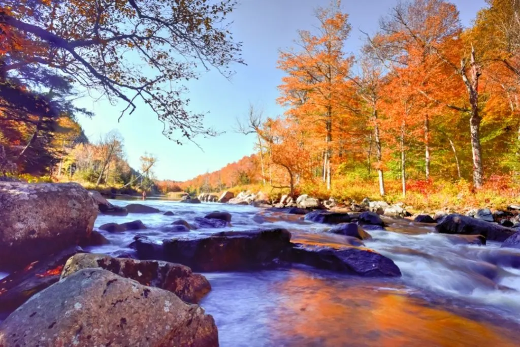 Fall foliage in the Adirondacks in New York