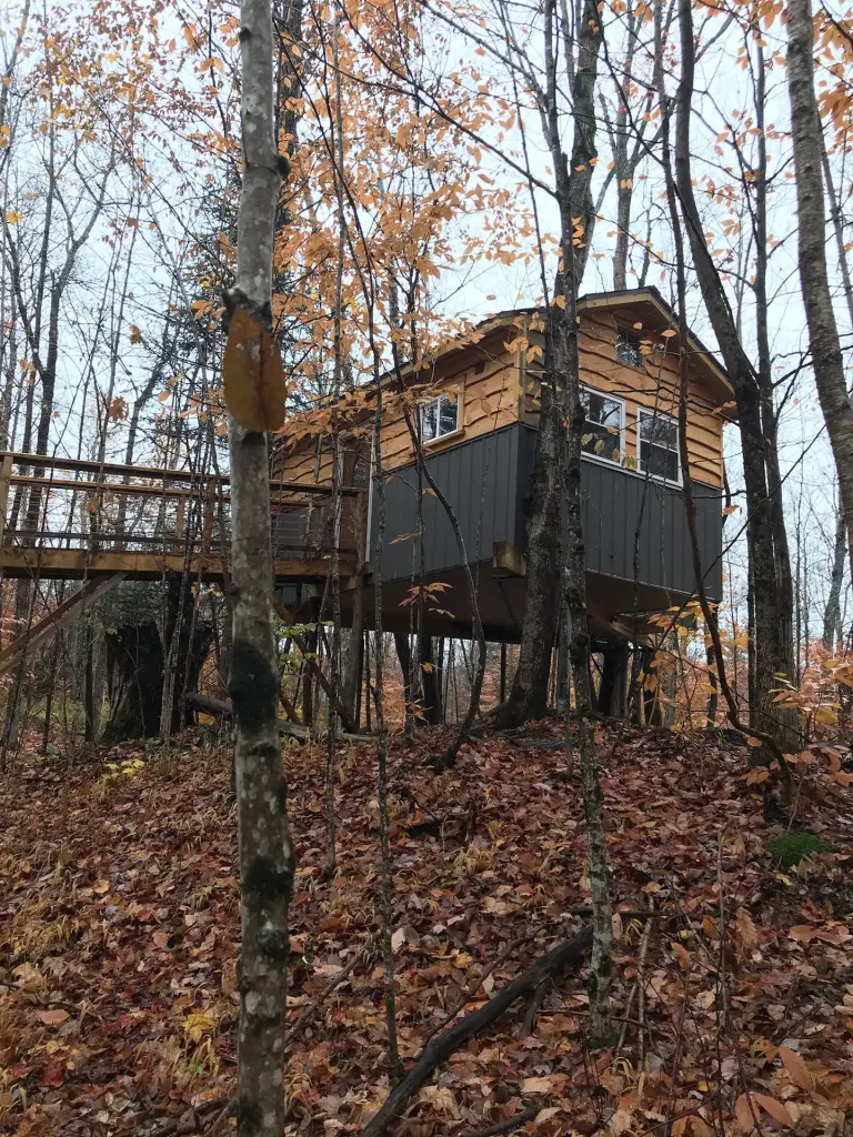 Exterior of the Ash Hill treehouse
