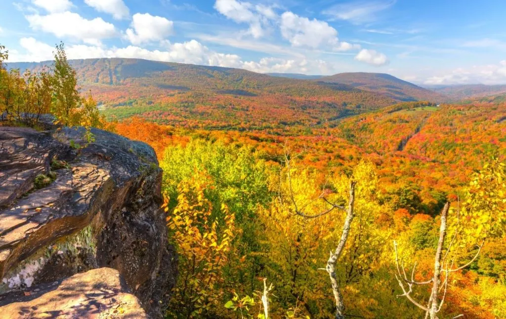 View of vibrant fall foliage from the top of a mountain in the Catskils. 