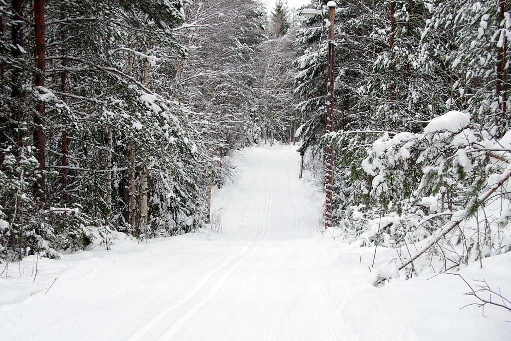 Cross country ski trailcovered in snow. 