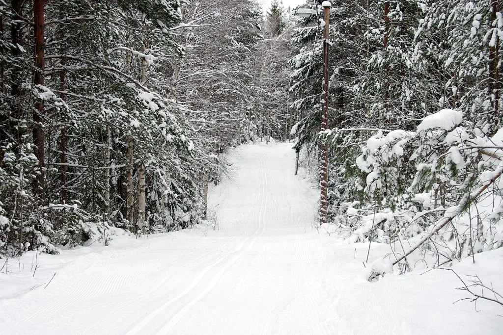 View of a cross country ski trail covered in snow in the Adirondacks. The trail is lined with evergreen trees since cross country skiing is one of the best things to do in Lake Placid NY.  