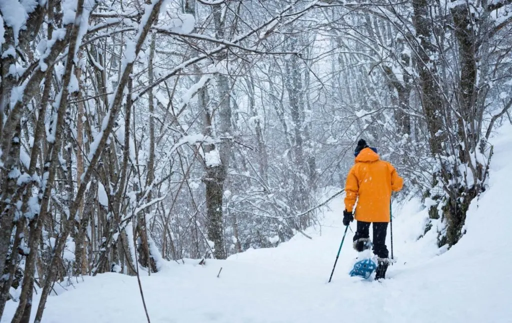 Man snow shoeing through the woods in a yellow jacket in winter in Lake Placid. 