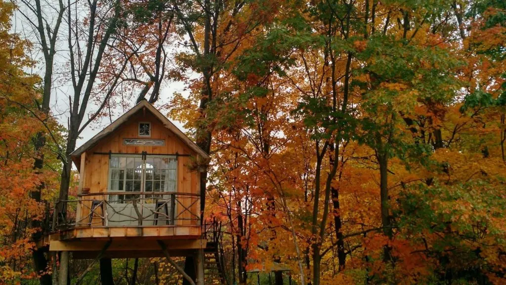 Fall foliage around Whispering Wind, one of many treehouse rentals in NY