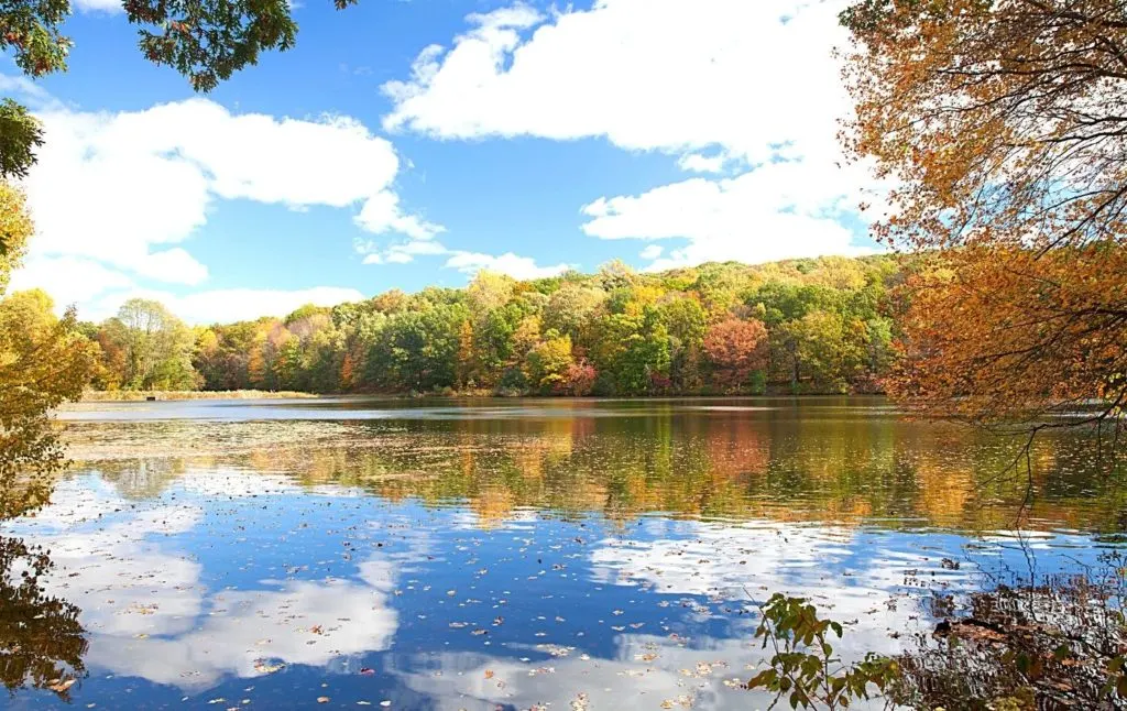 Vibrant fall foliage around a pond in Rockefeller State Park Preserve. Exploring here is one the of the top things to do in Sleepy Hollow NY