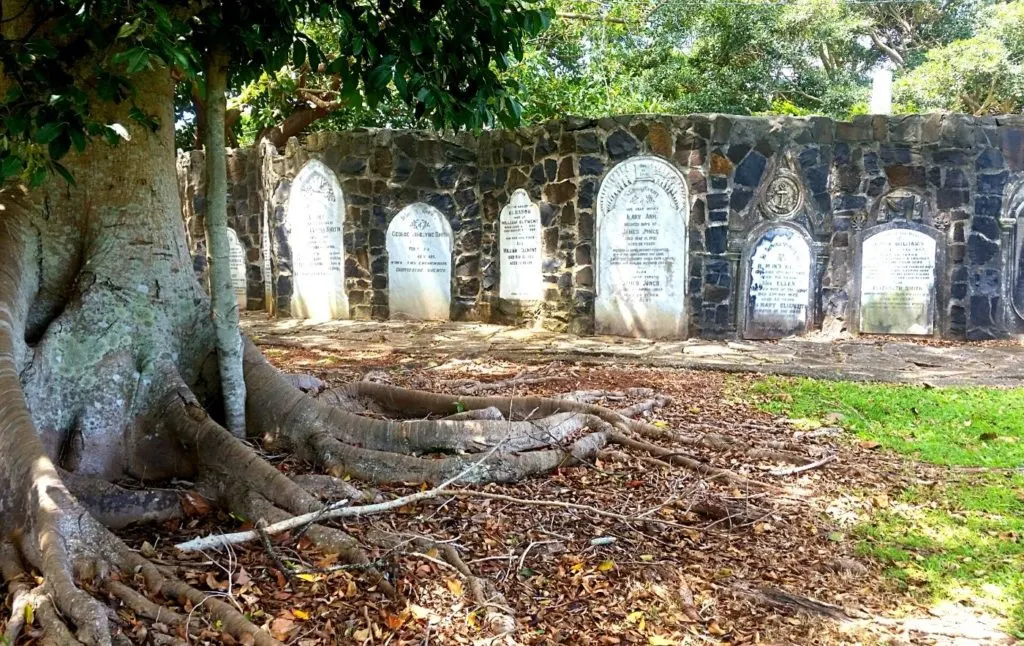 Historic gravestones under a tree in the Sleepy Hollow Cemetery. One of the best things to do in Sleepy Hollow NY. 