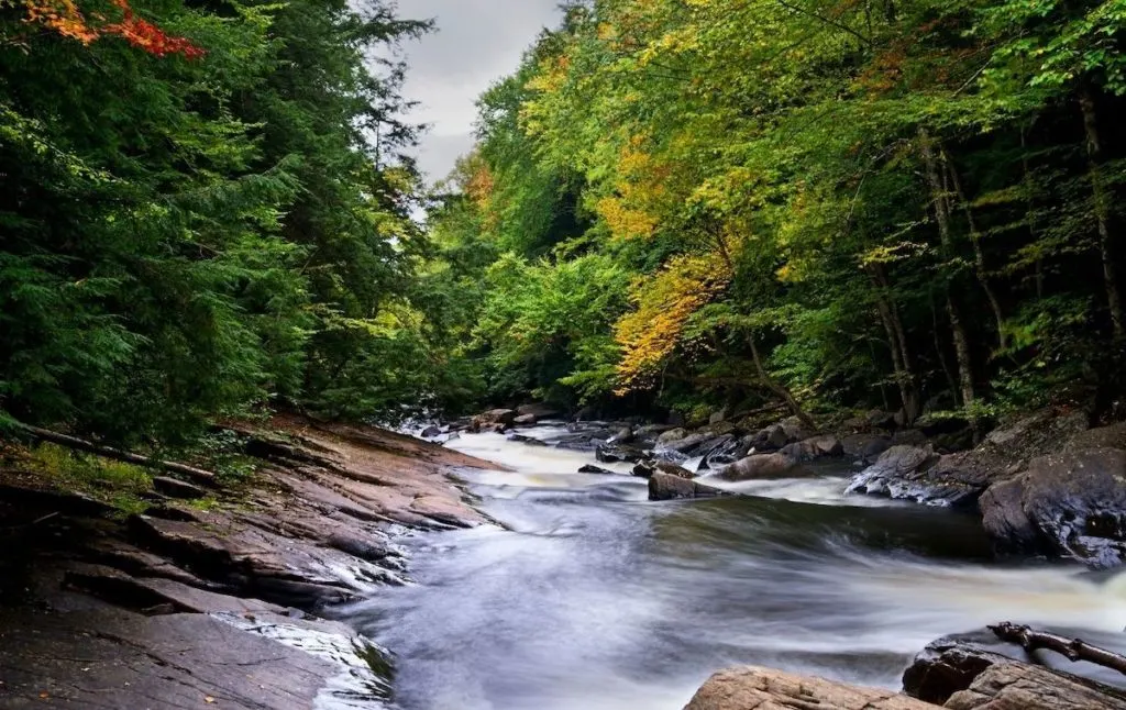 Stream running through the Adirondacks. 