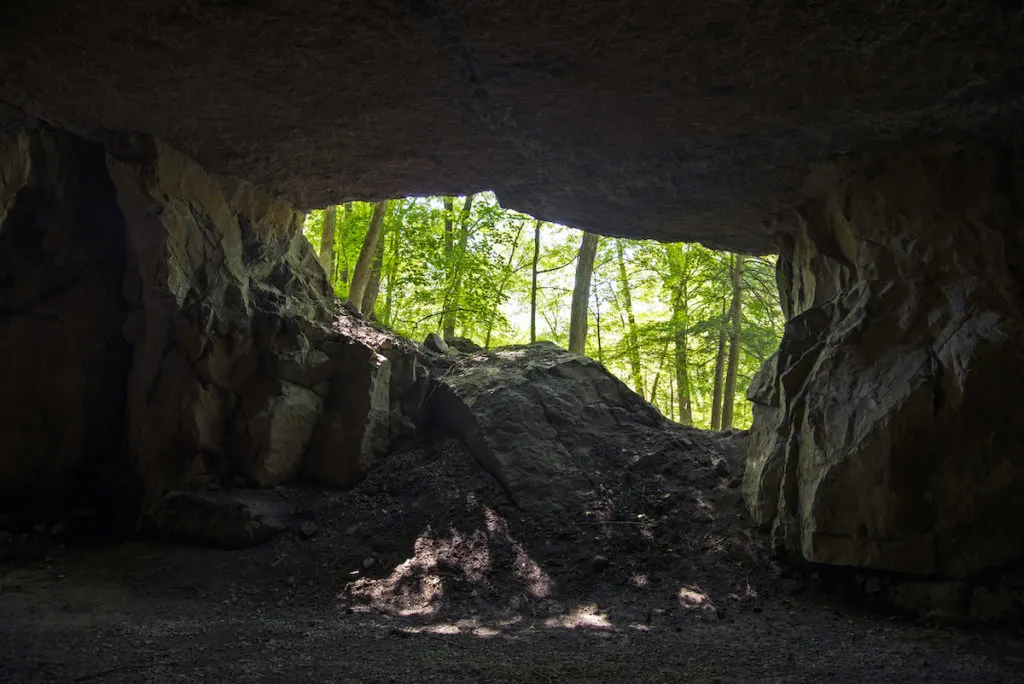 Secret Caverns in New York and a window of abandoned trees in a a cave. 