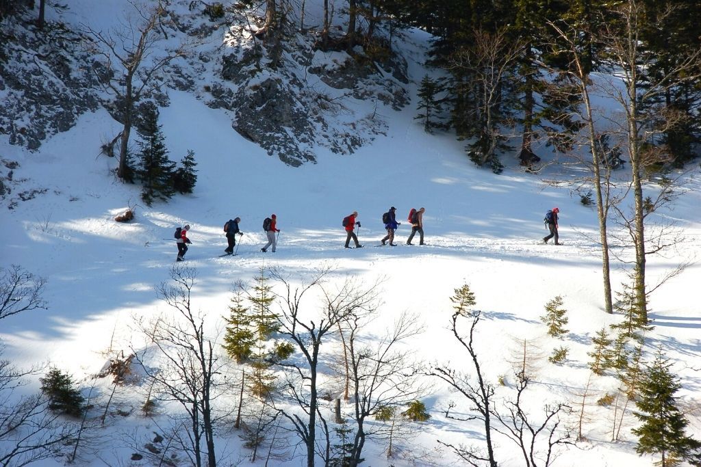 People snowshoeing through the wilderness on one of the best winter hikes in New York