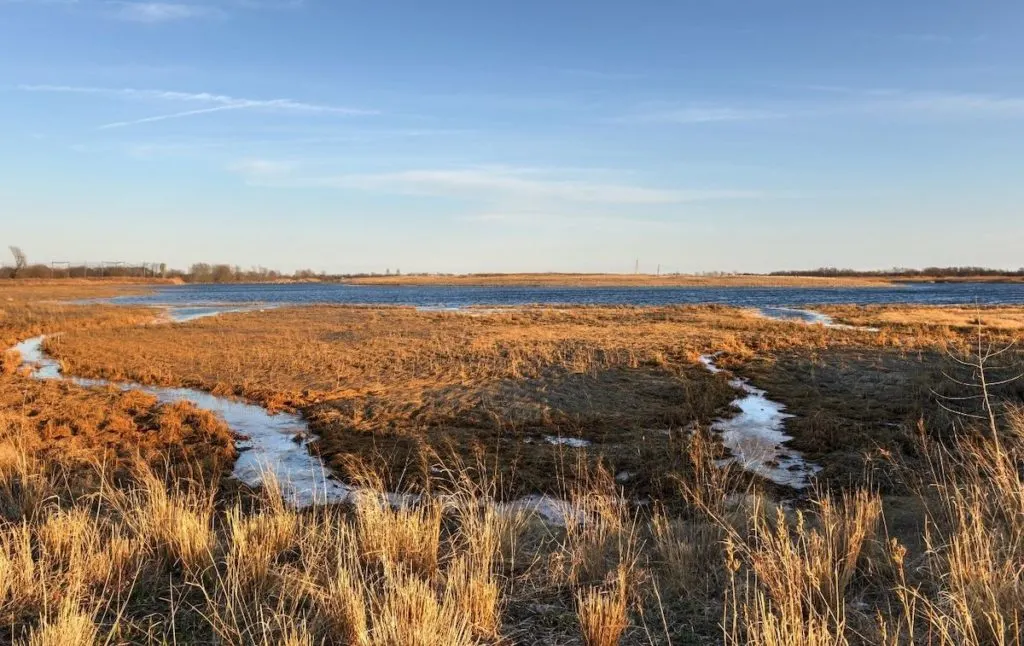 Marsh view on one of the best Hudson Valley hikes. 