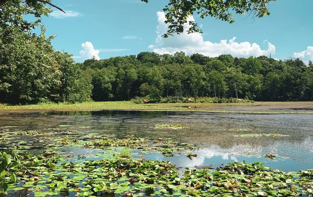 Lake at Teatown Preserve near Croton-on-Hudson in New York