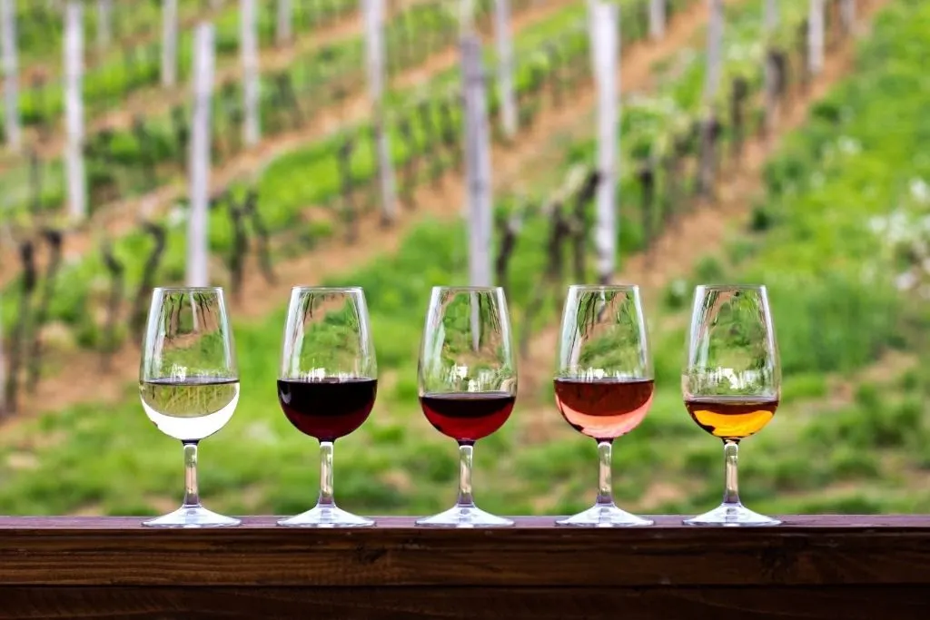 Glasses of different wine arranged on a ledge at a vineyard in New York.