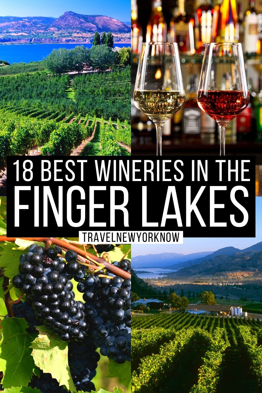 20 Best Wineries in the Finger Lakes Exquisite Local Guide