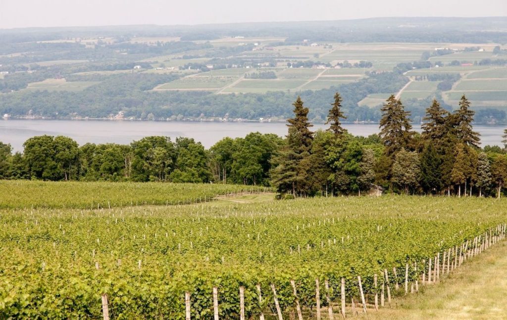 One of the best wineries in the Finger Lakes overlooking Keuka Lake.