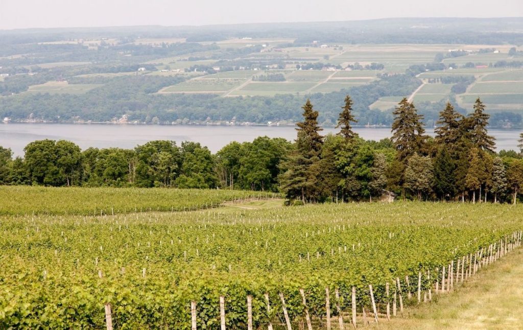 One of the best wineries in the Finger Lakes overlooking Keuka Lake. 