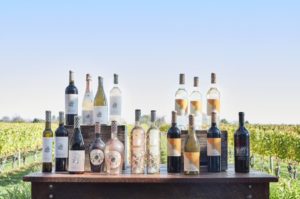 13 Best Vineyards in Long Island + Best Wineries in Long Island