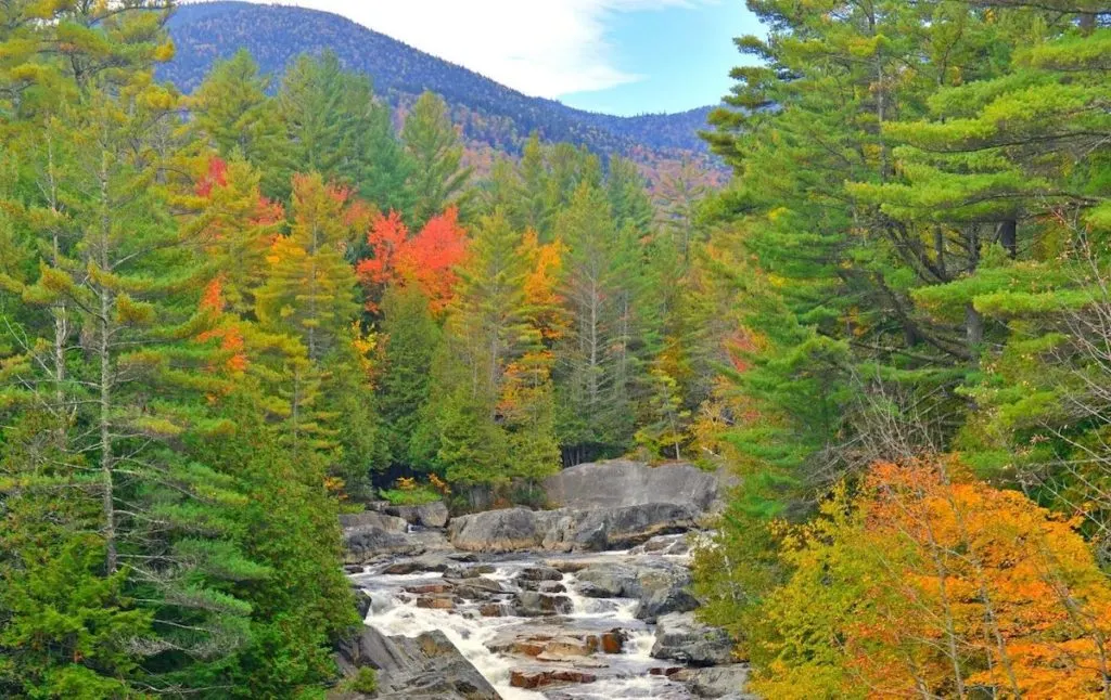 Fall foliage in the Adirondacks along a stream near one of the best swimming holes in NY. 