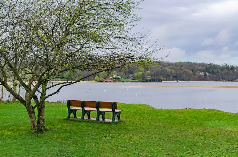 Bench beneath a tree and right by the water in Cold Spring Harbor State Park, home to one of the best hiking trails on Long Island. 