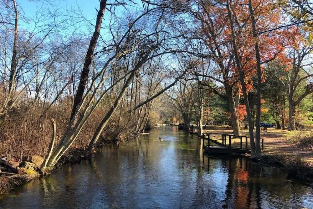 View of the river at Connetquot River State Park Preserve, one of the best hiking trails on Long Island. 