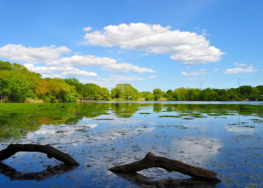 Do one of the best hikes in Long Island and see the beauty of Massapequa Lake Trail. 