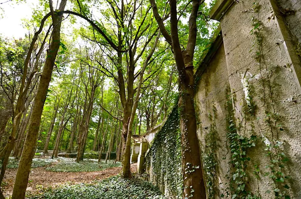 View of Muttontown Preserve which is home to some of the best hiking trails in Long Island. 