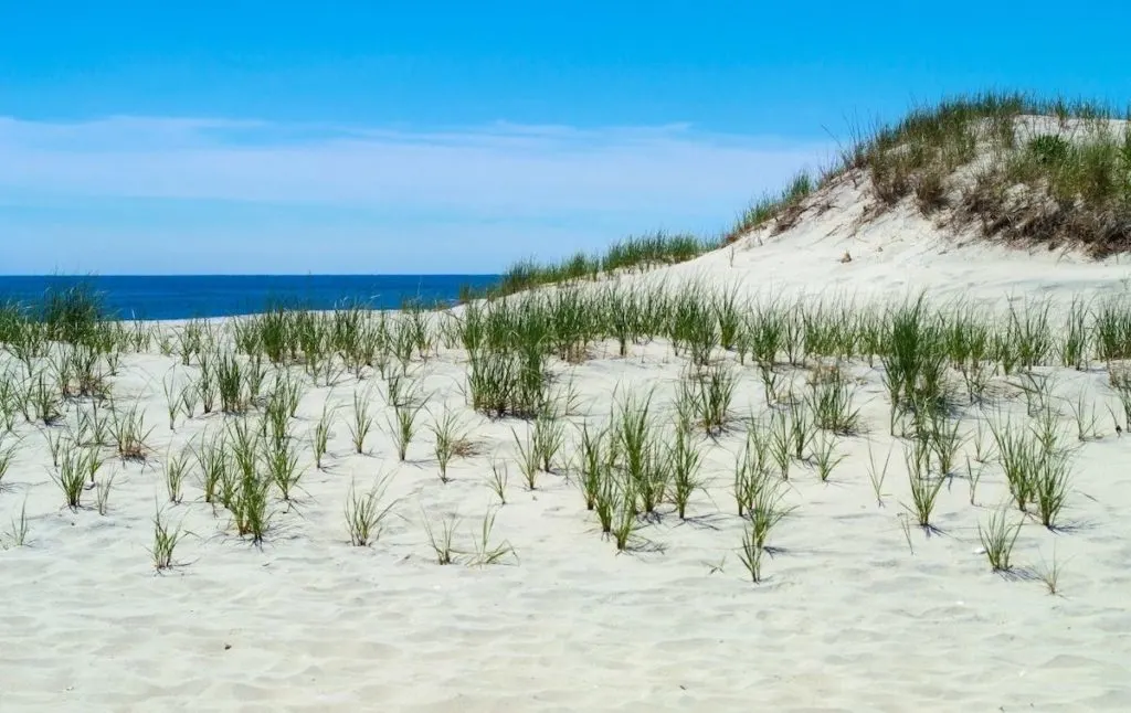 Sand dunes on one of the best hiking trails on Long Island. 