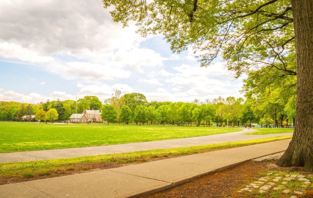 The vast wooded areas and well-defined paths of Van Cortlandt Park and some of the best hikes in NYC. 