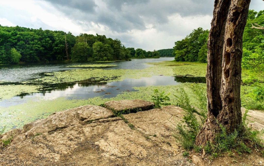 View of a small pond in Wawayanda State Park in New Jersey. 