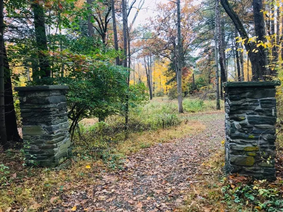 Morning Hiking Trails  with the trees in autumn colors in Springside Landmark