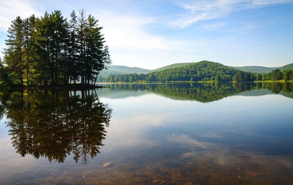 View of Allegany State Park in NY, one of the best state parks in New York.