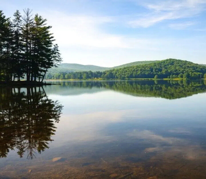 Best State Parks in the New York is Allegany State Park