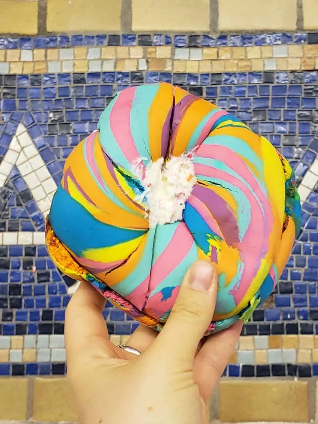 Rainbow bagel from the bagel store in Brooklyn. 