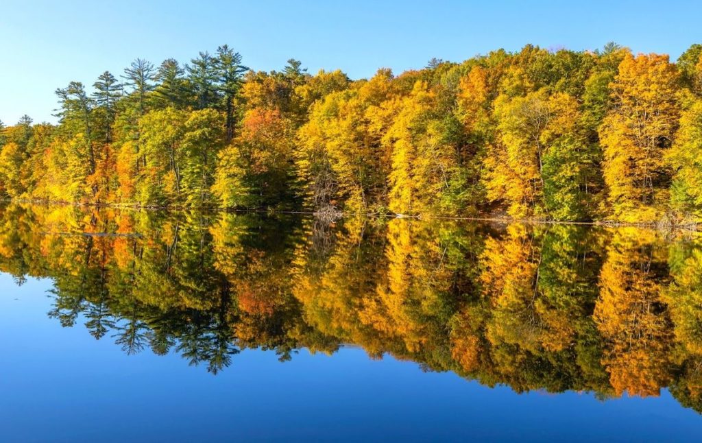 Bright fall foliage on the lake at  Chenango Valley State Park, one of the best state parks in New York. 