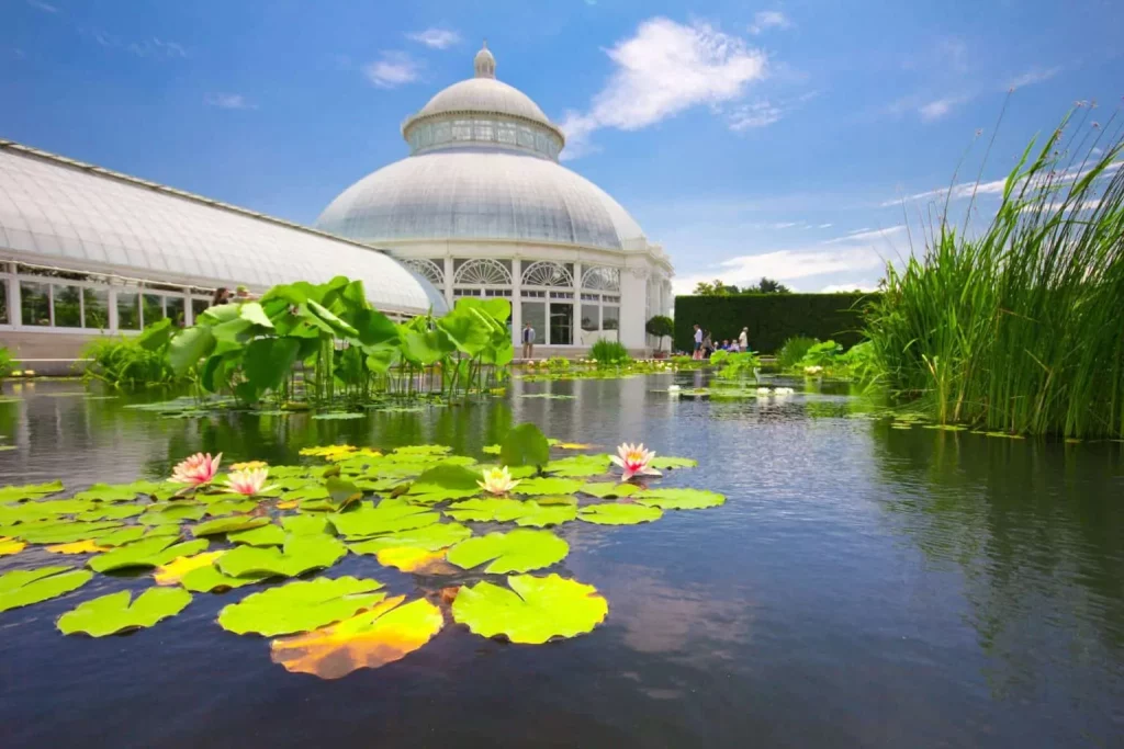 Historic pavilion at the New York Botanical Gardens surrounded by a pond with lily pads. 