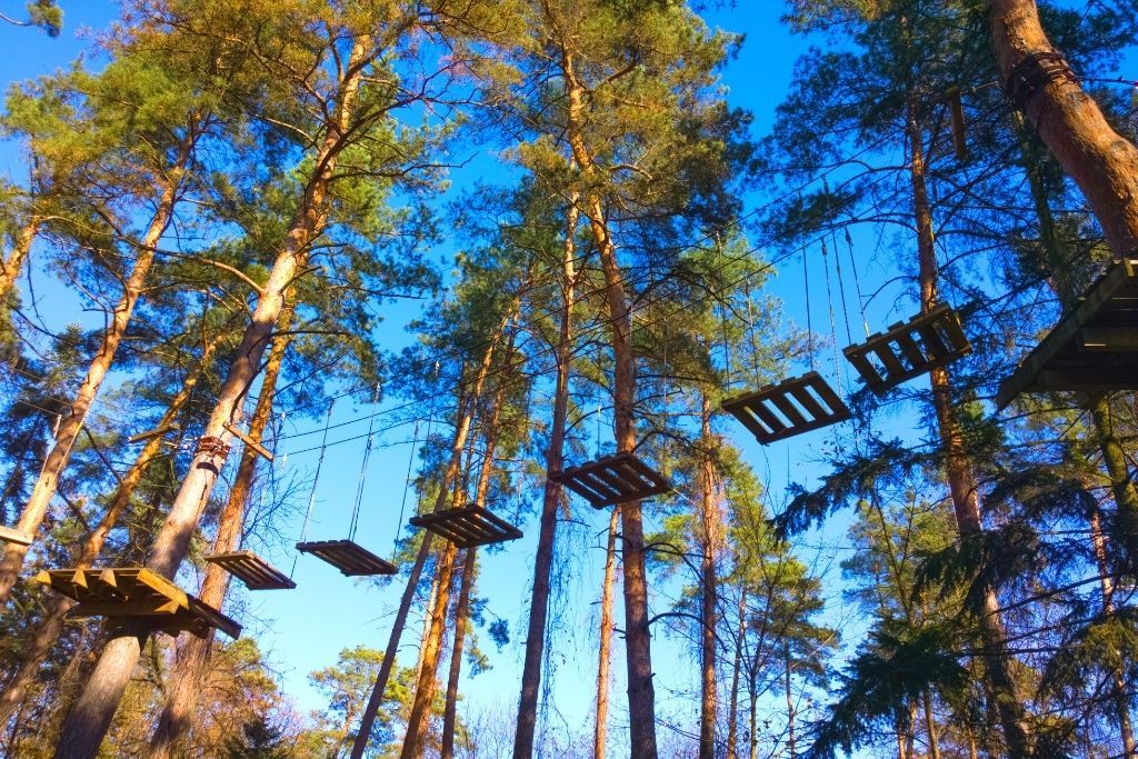 Aerial ropes course, one of the best things to do in Lake George NY. 