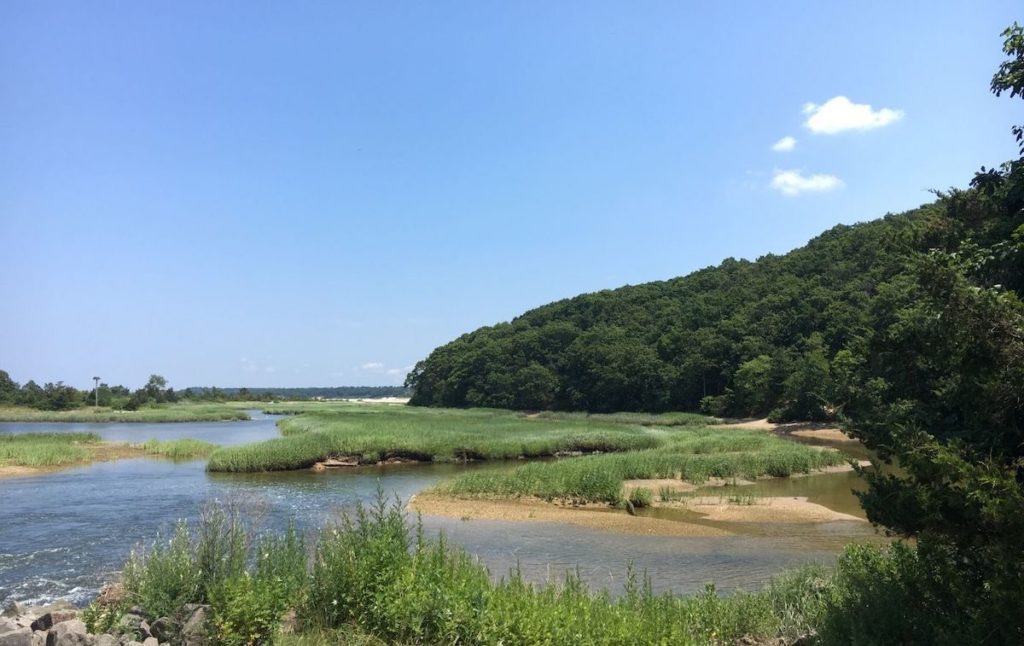 Marshland in Sunken Meadow State Park, home to some of the best hikes in Long Island. 