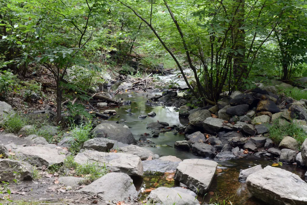 Stream Crossing at the Camp Smith trail one the way to the Anthony's Nose trail. 