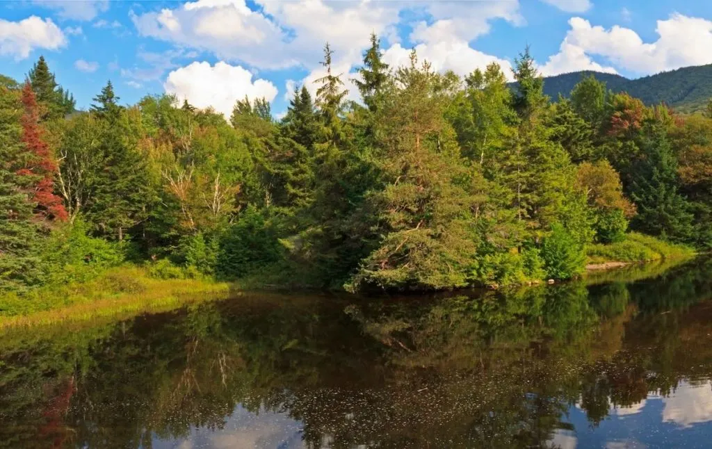 Pond along the Mount Marcy Trail. 