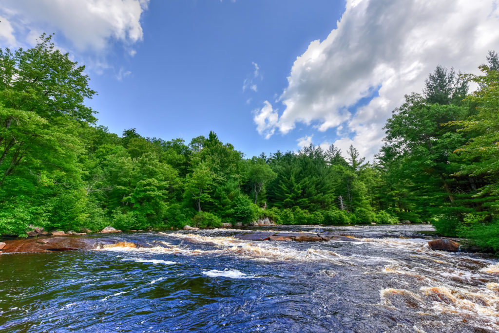 View of Cranberry Lake, home ot the best camping upstate NY has to offer.