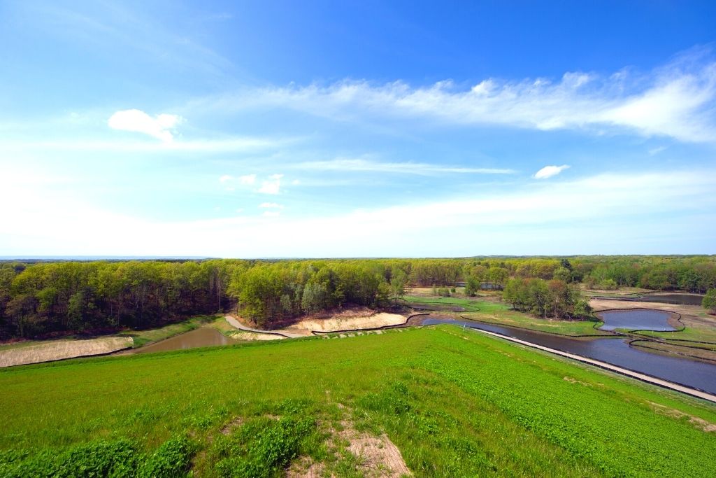 Aerial view of the Pine Bush Preserve from one of the best hikes near Albany NY. 