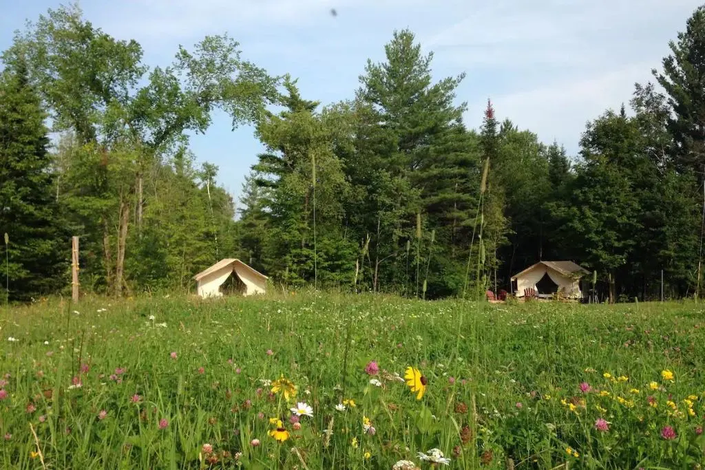 Tents at Camp Bernice, one of the best places for glamping in New York. 