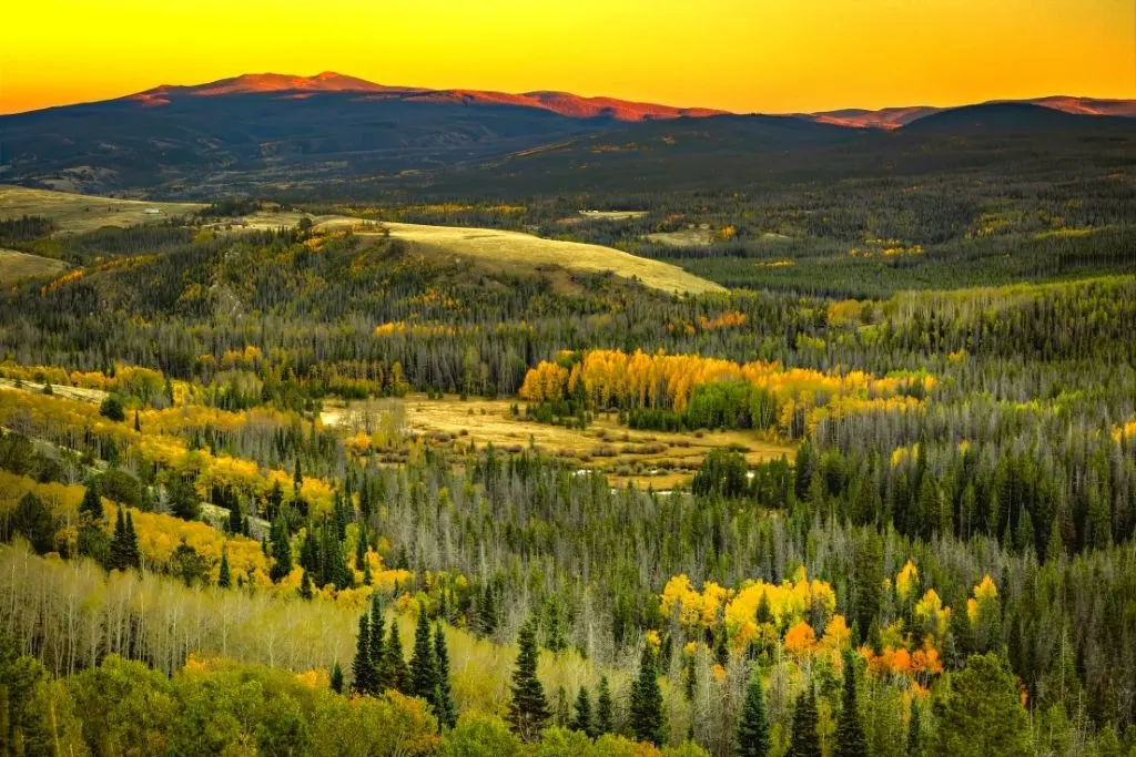 Natural landscape in Saratoga.