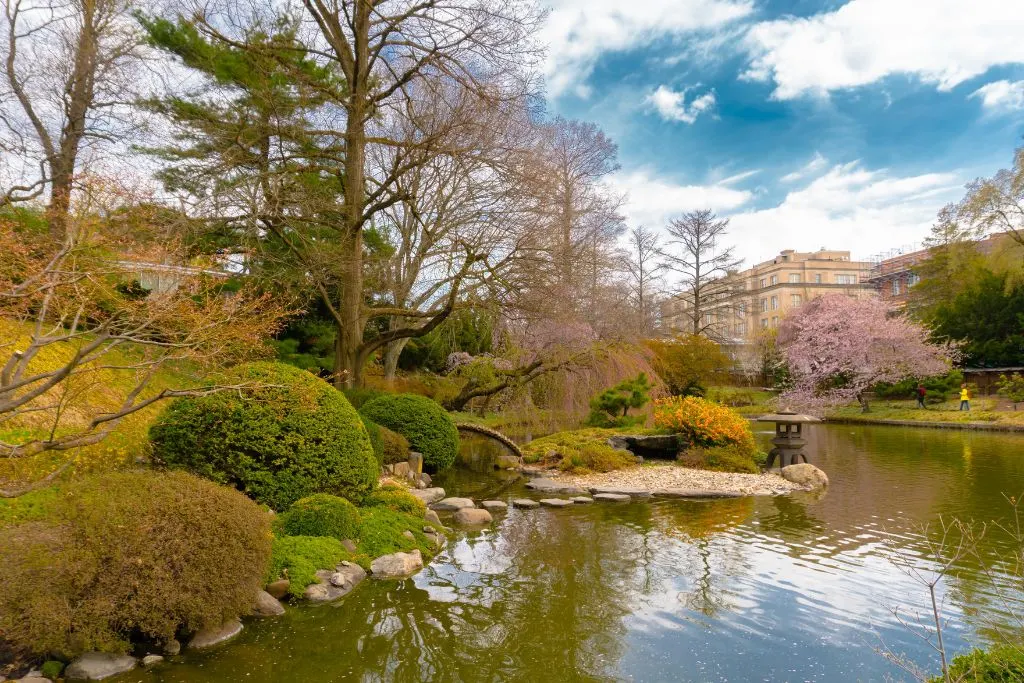 Quiet beauty of the Brooklyn Botanic Gardens, one of the many hidden gems in NYC. 