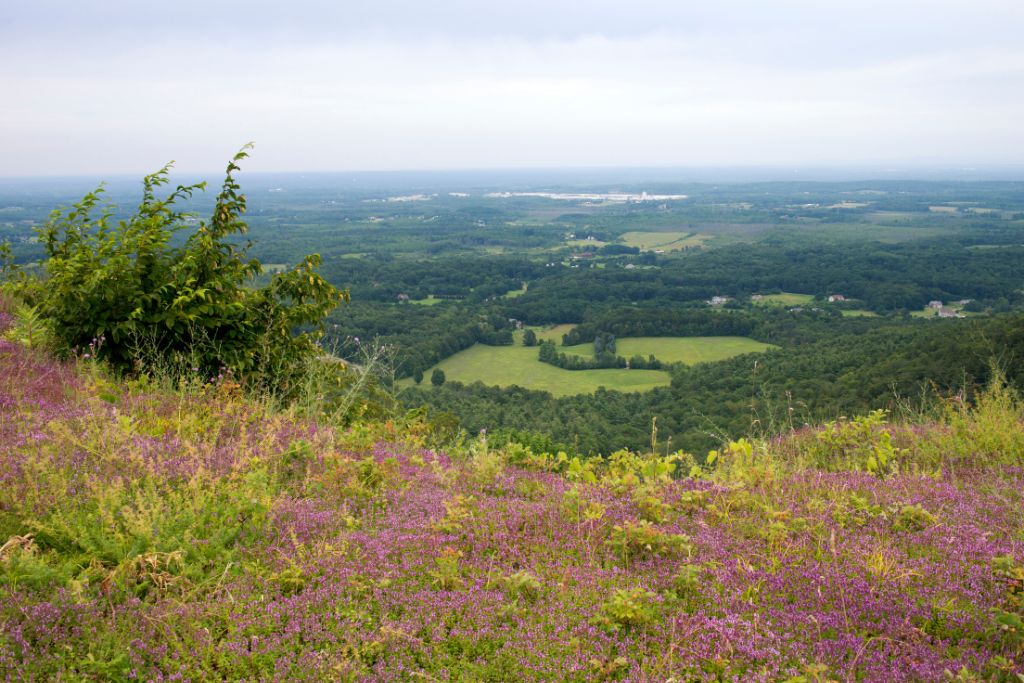 Aerial view of the surrounding landscape at John Boyd Thacher State Park, home to one of the best waterfalls near Albany NY. 