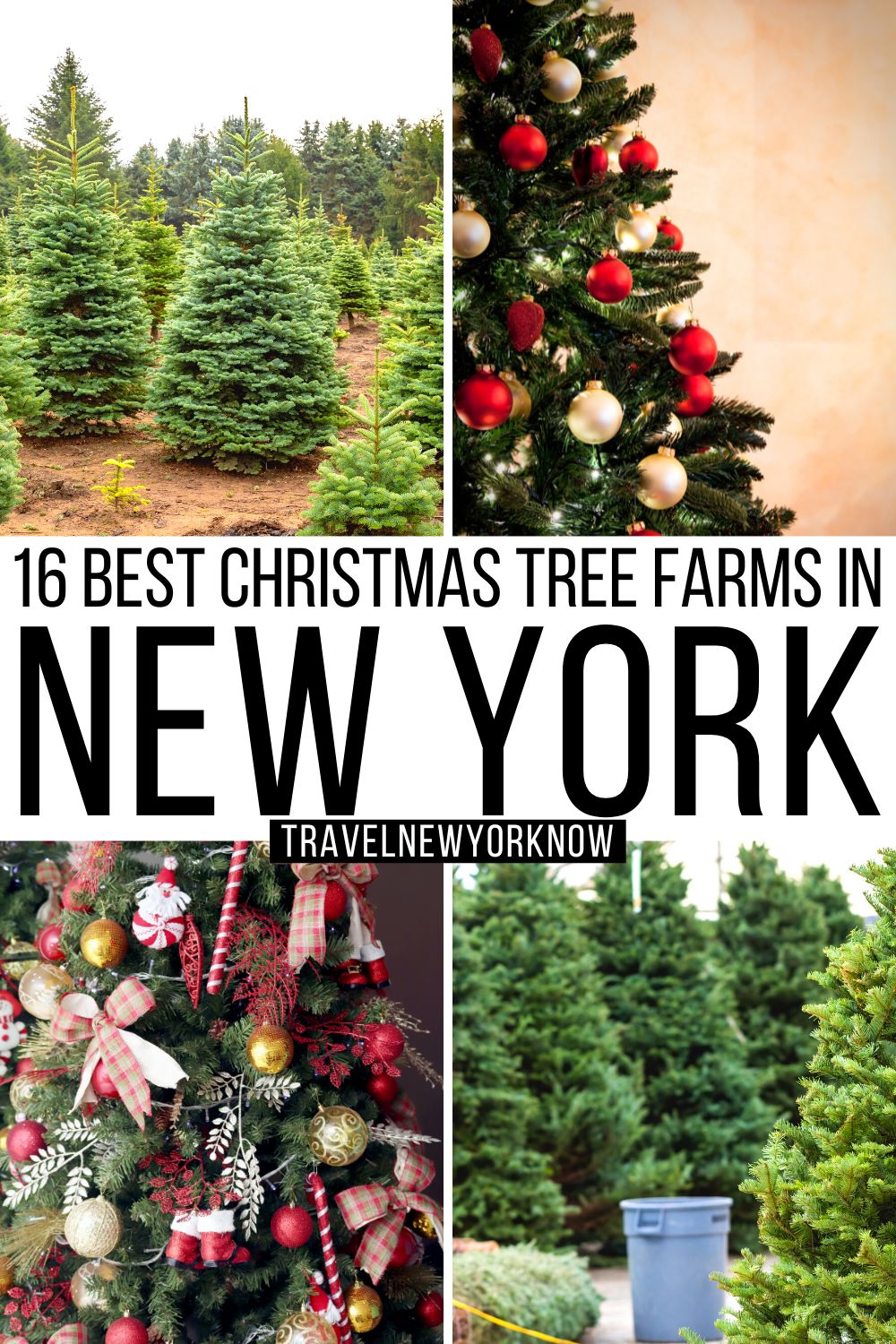18 Best Christmas Tree Farms in New York State A Local Guide