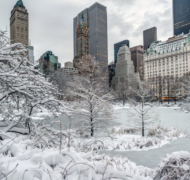 Central Park in winter covered in snow.