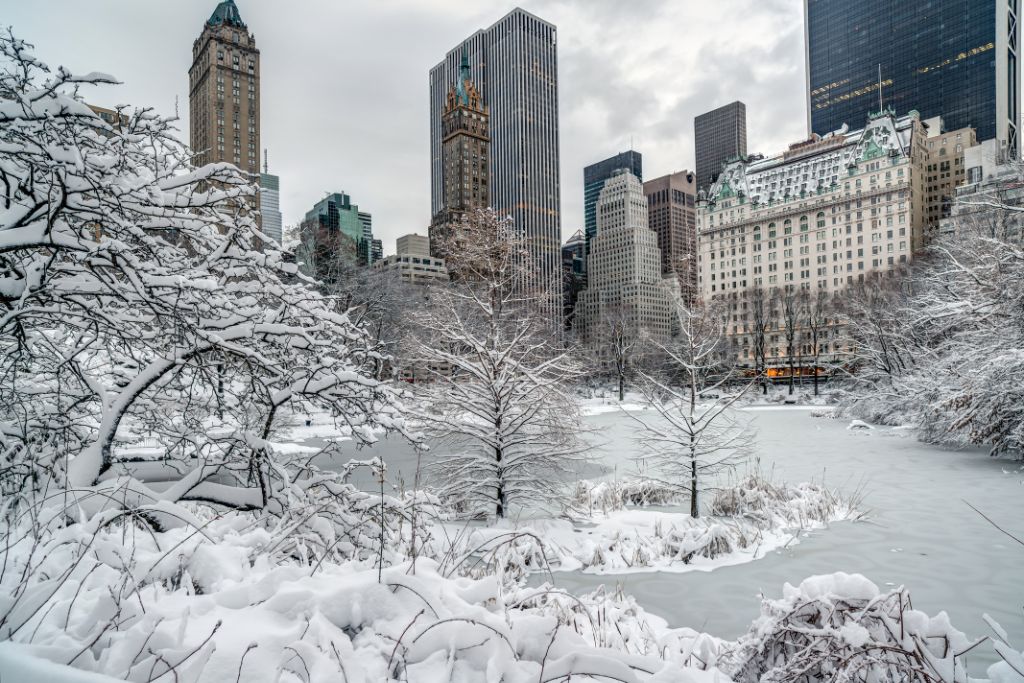 View of Central Park covered in snow. 