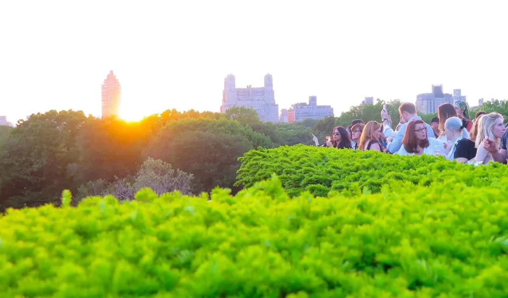 One of the best views in NYC is from the rooftop bar at the MET. 