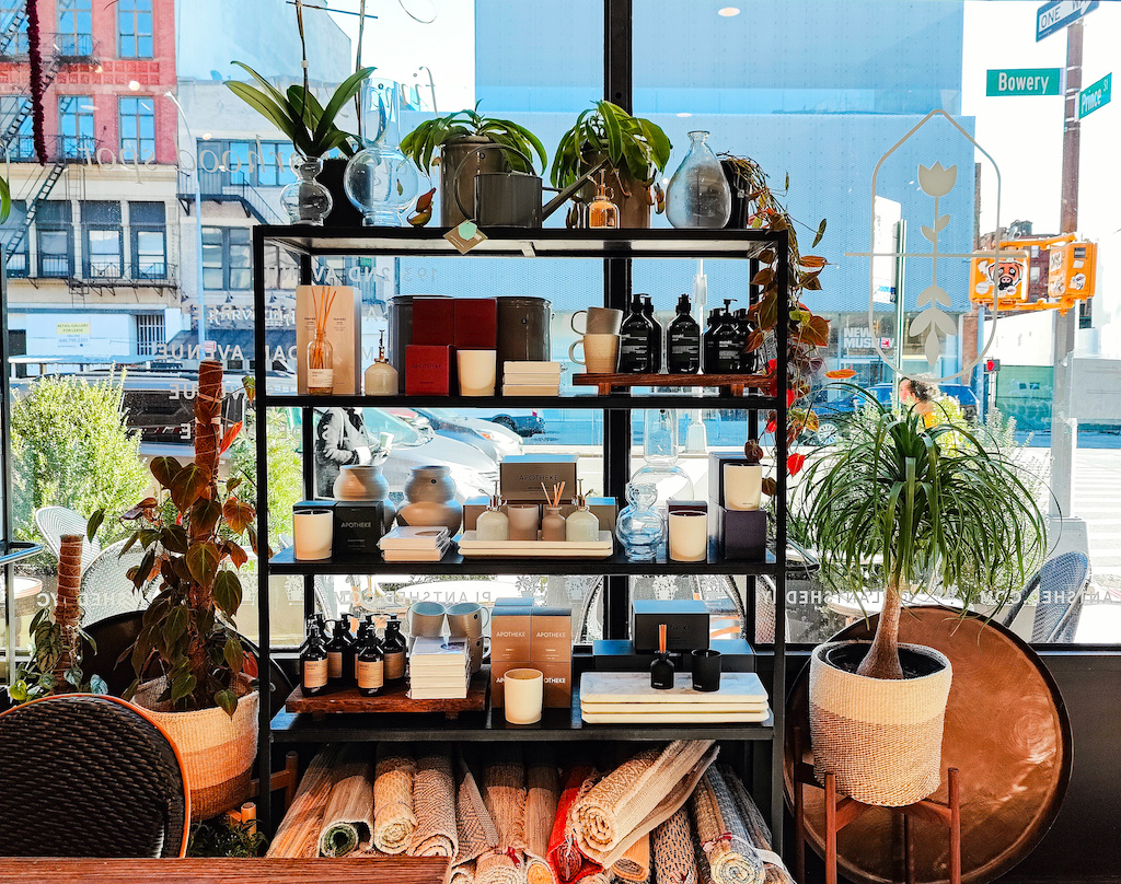 Bookshelf lined with products amd surrounded by plants at PlantShed, one of the nontouristy things to do in NYC, 