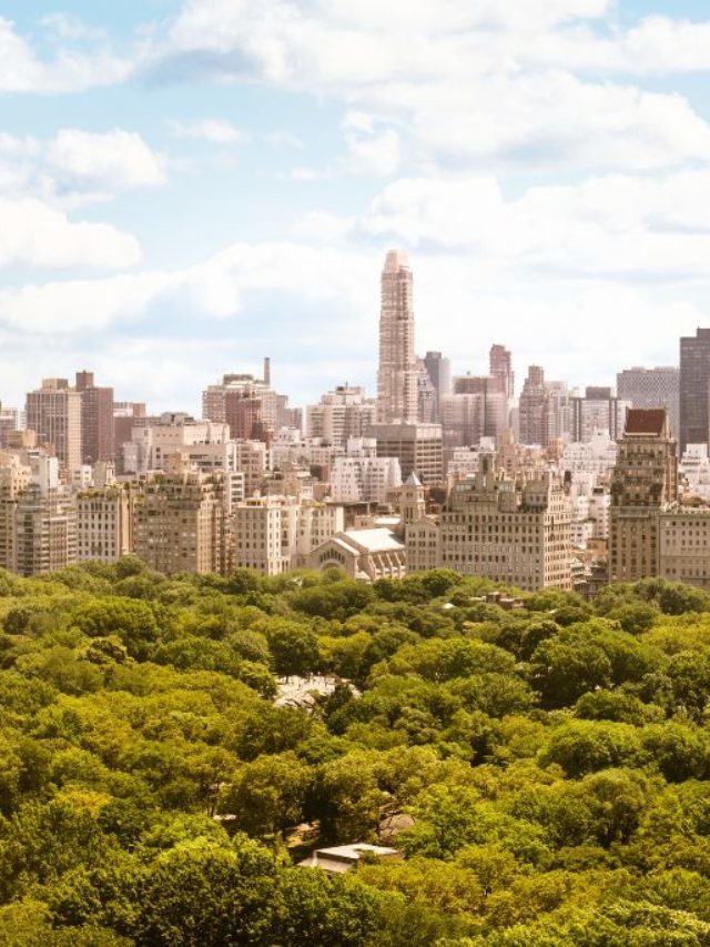 Ultimate Local’s Guide to New York in May 2024 Story